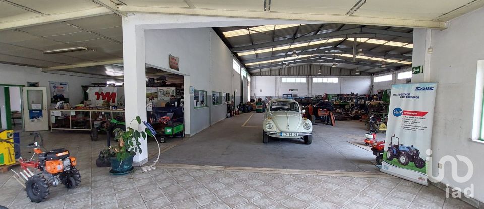 Boutique/Local commercial à Cantanhede e Pocariça de 828 m²