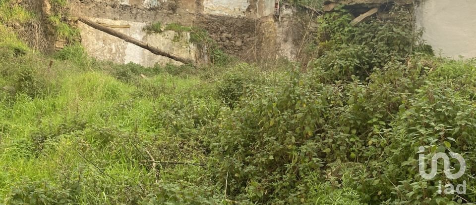 Moradia T2 em Peso da Régua e Godim de 345 m²