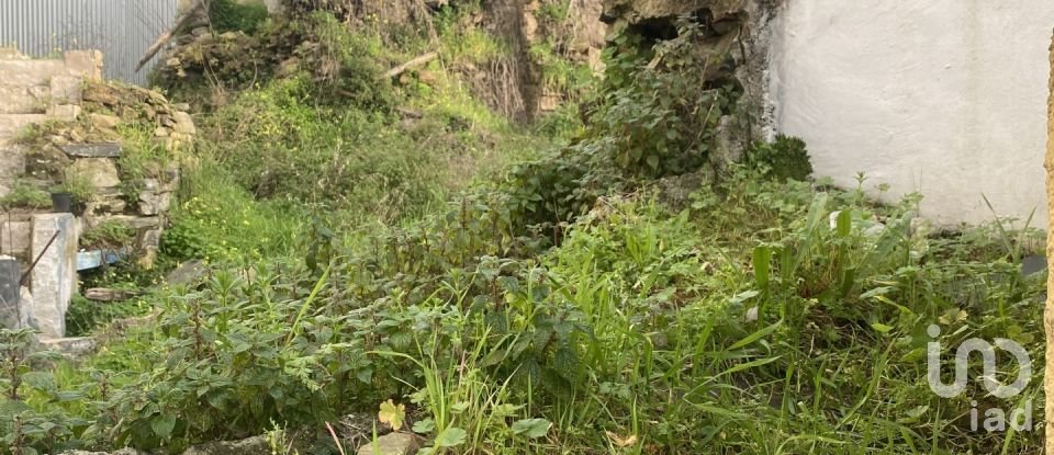 Moradia T2 em Peso da Régua e Godim de 345 m²