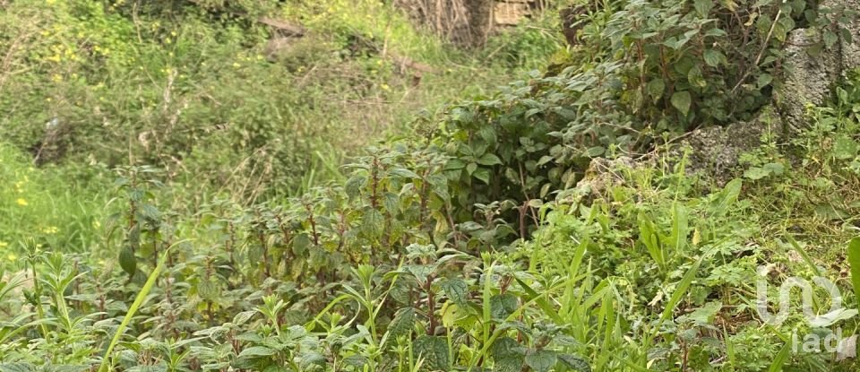 Moradia T2 em Peso da Régua e Godim de 345 m²