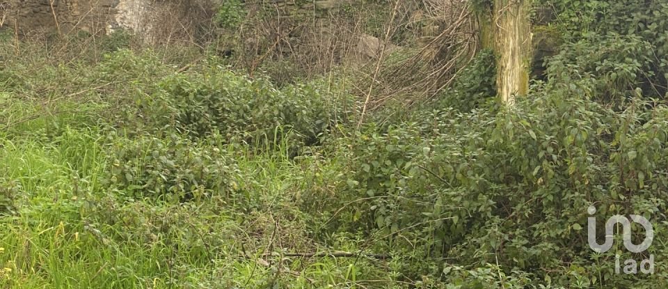 Moradia T2 em Peso da Régua e Godim de 345 m²