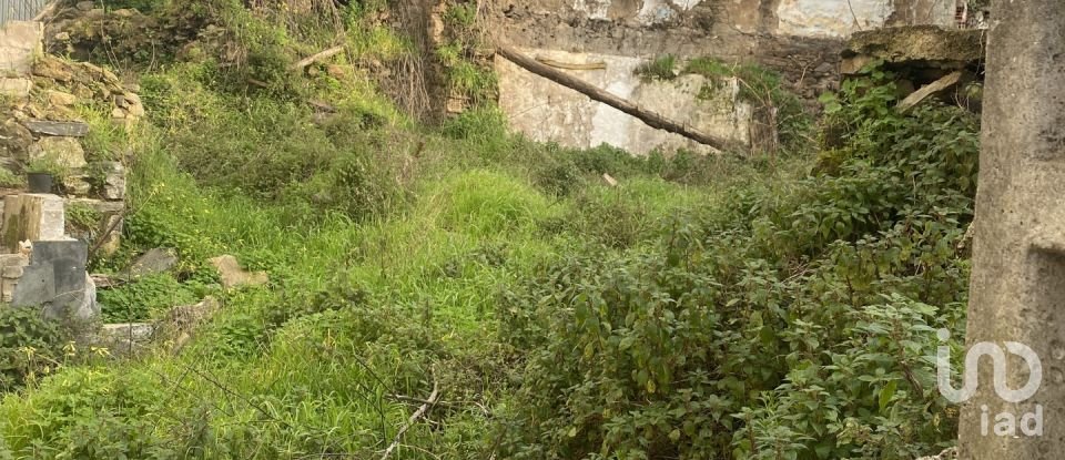 Moradia T2 em Peso da Régua e Godim de 345 m²