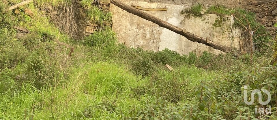 Moradia T2 em Peso da Régua e Godim de 345 m²