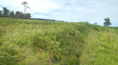 Terrain à bâtir à Ponta do Pargo de 1 452 m²