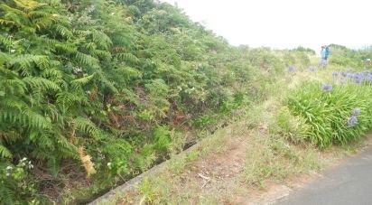 Terrain à bâtir à Ponta do Pargo de 1 452 m²
