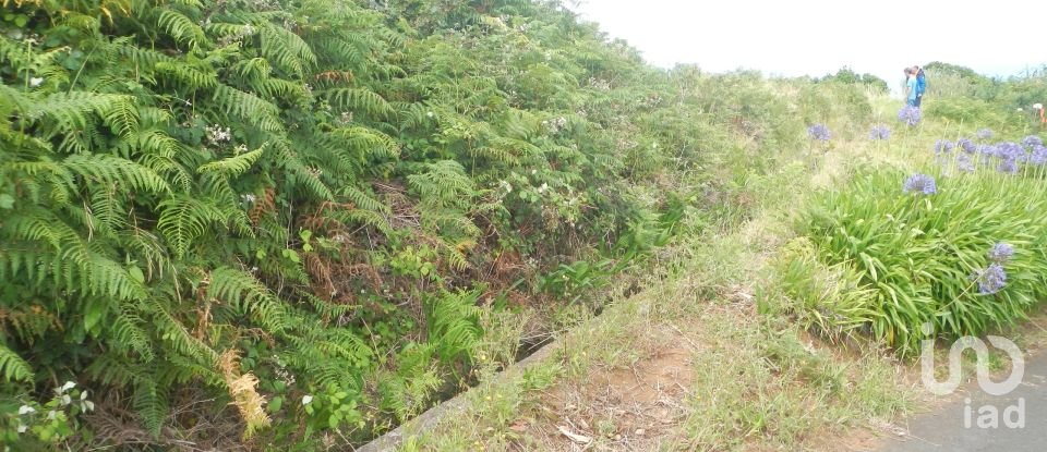 Building plot in Ponta do Pargo of 1,452 m²