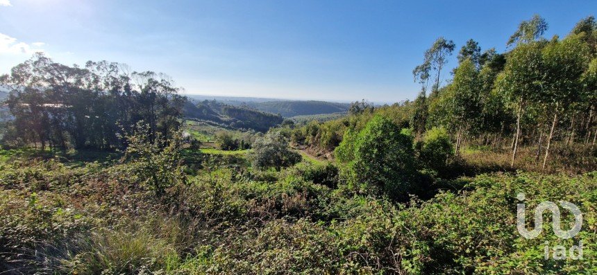 Terreno em Igreja Nova e Cheleiros de 10 000 m²