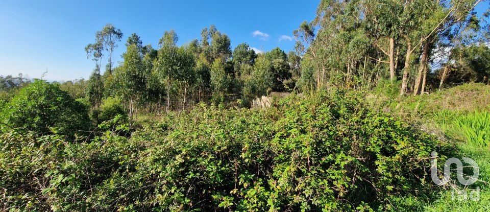 Terreno em Igreja Nova e Cheleiros de 10 000 m²