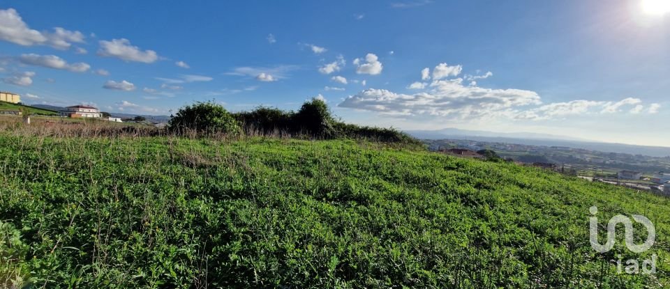Terreno em Igreja Nova e Cheleiros de 10 000 m²