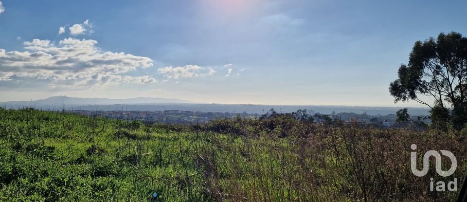 Terreno em Igreja Nova e Cheleiros de 10 000 m²