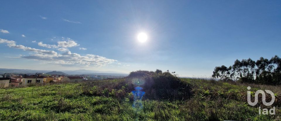 Terreno em Igreja Nova e Cheleiros de 10 000 m²