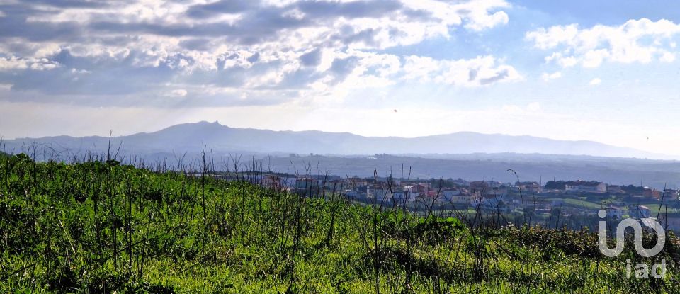 Terreno em Igreja Nova e Cheleiros de 10 000 m²