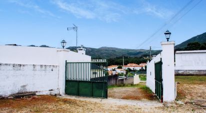 House T5 in Loivo of 646 m²