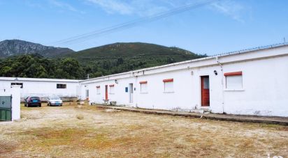 House T5 in Loivo of 646 m²