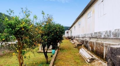 House T5 in Loivo of 646 m²