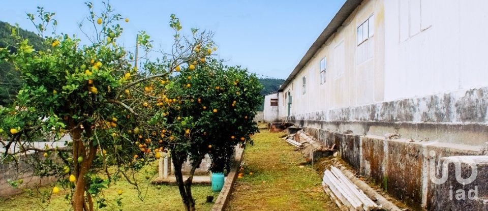 House T5 in Loivo of 646 m²