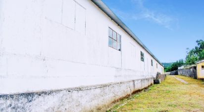 House T5 in Loivo of 646 m²