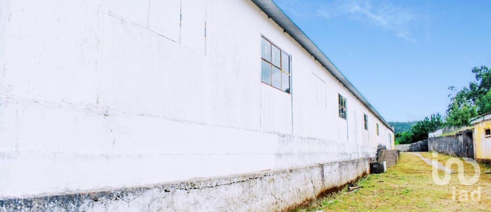 House T5 in Loivo of 646 m²