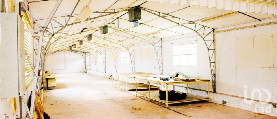 House T5 in Loivo of 646 m²