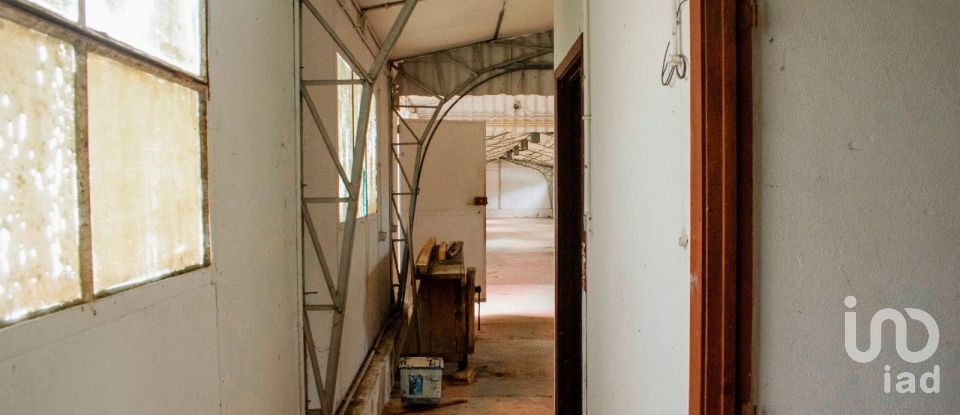 House T5 in Loivo of 646 m²