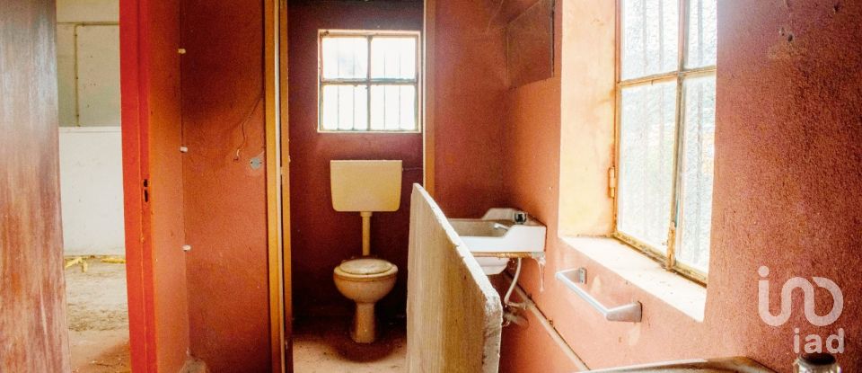 House T5 in Loivo of 646 m²