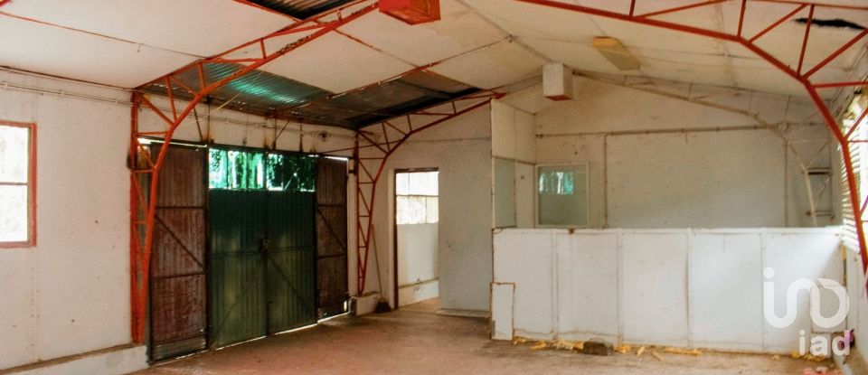 House T5 in Loivo of 646 m²