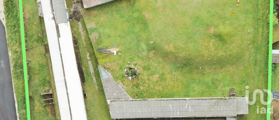 House T5 in Loivo of 646 m²