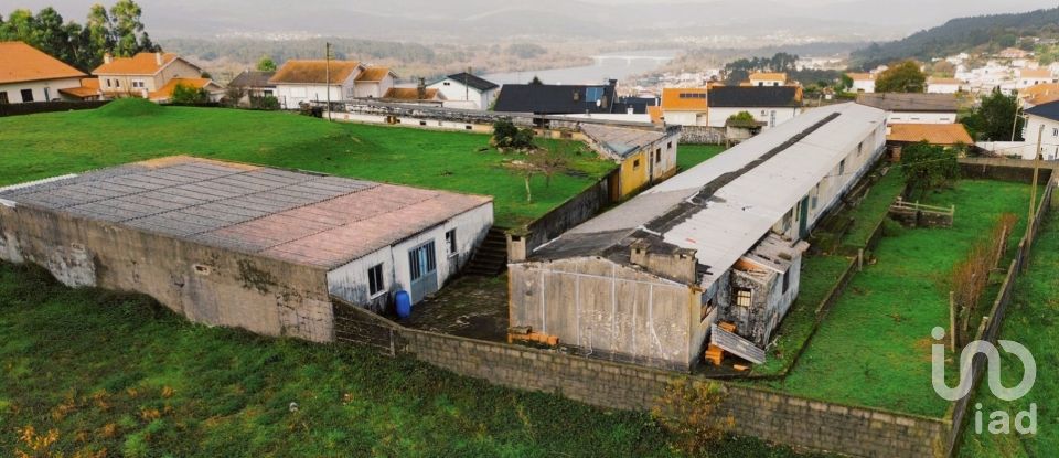 House T5 in Loivo of 646 m²