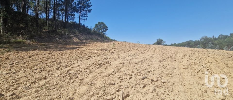 Terreno em Azueira e Sobral da Abelheira de 26 562 m²