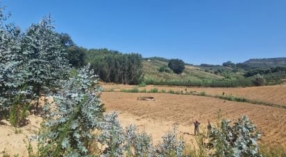 Terrain à Azueira e Sobral da Abelheira de 26 562 m²