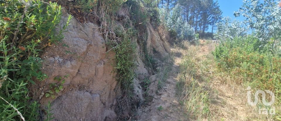 Terreno em Azueira e Sobral da Abelheira de 26 562 m²