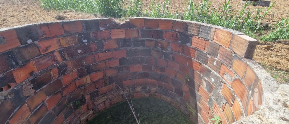 Terreno em Azueira e Sobral da Abelheira de 26 562 m²