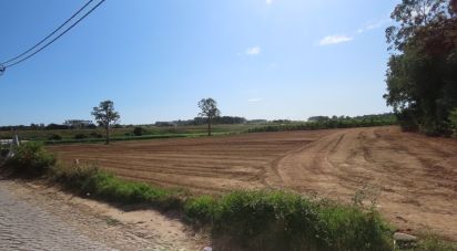 Terrain à bâtir à Aveleda de 21 000 m²