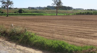 Terrain à bâtir à Aveleda de 21 000 m²