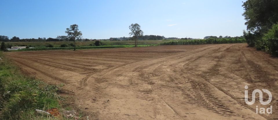 Terrain à bâtir à Aveleda de 21 000 m²
