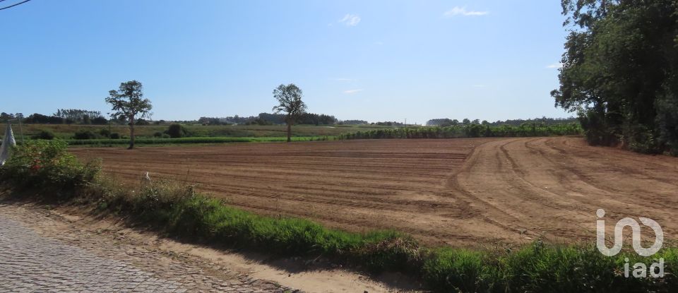 Terrain à bâtir à Aveleda de 21 000 m²