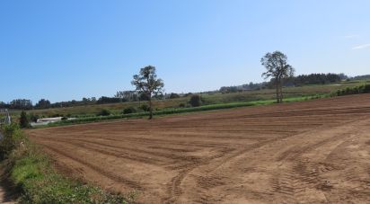 Terrain à bâtir à Aveleda de 21 000 m²