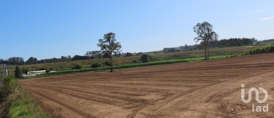 Terrain à bâtir à Aveleda de 21 000 m²