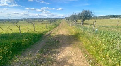 Terreno em Barbacena e Vila Fernando de 17 250 m²