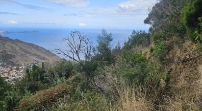 Terrain à Água de Pena de 10 100 m²