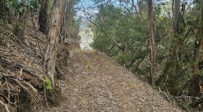 Terrain à Água de Pena de 10 100 m²