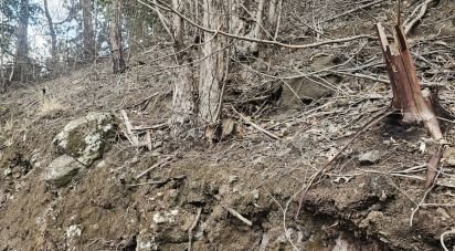 Terrain à Água de Pena de 10 100 m²