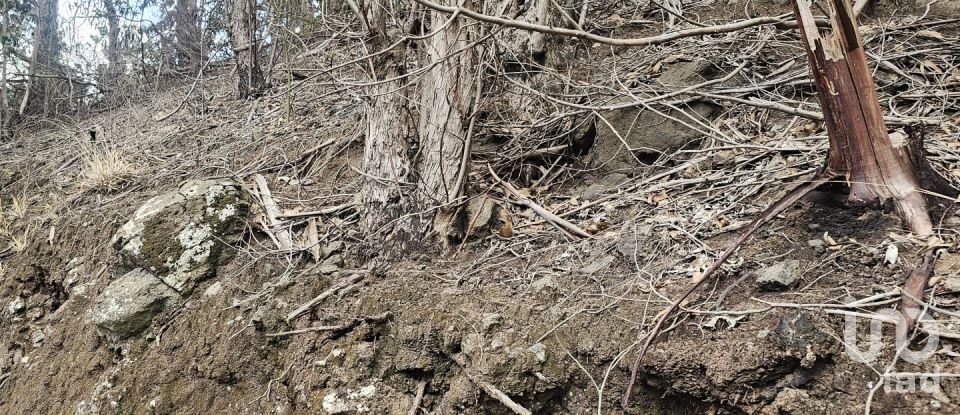 Terreno em Água de Pena de 10 100 m²