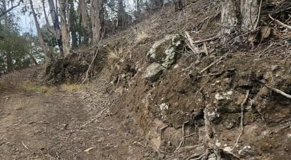 Terrain à Água de Pena de 10 100 m²