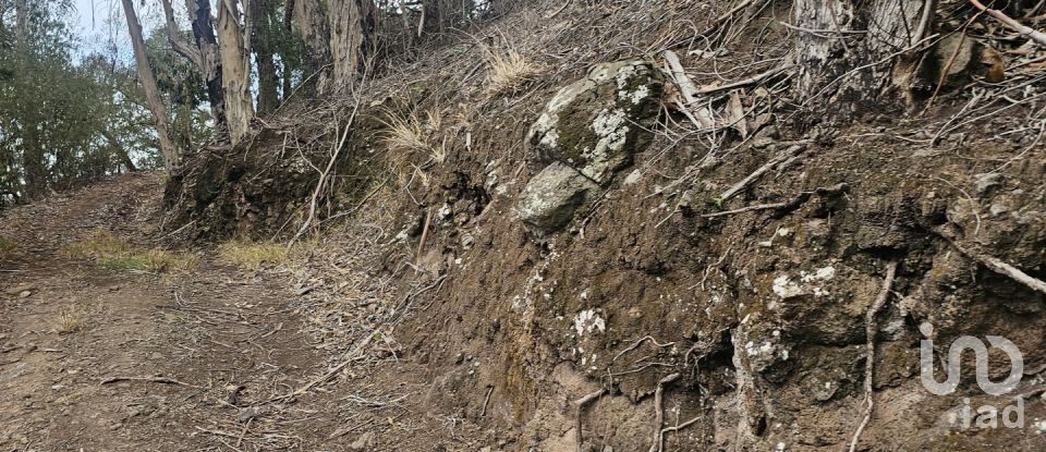 Terreno em Água de Pena de 10 100 m²