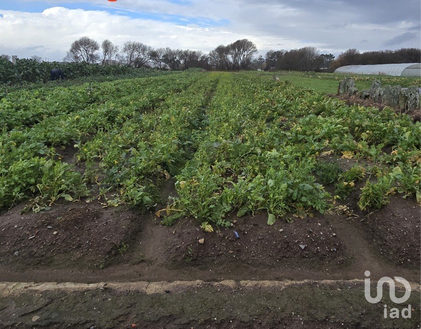 Terrain à Belinho e Mar de 2 040 m²