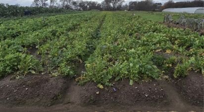 Terrain à Belinho e Mar de 2 040 m²