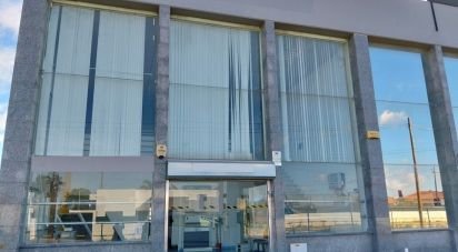 Armazém T0 em Pinhal Novo de 280 m²