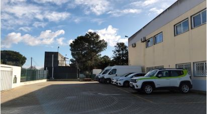 Armazém T0 em Pinhal Novo de 280 m²