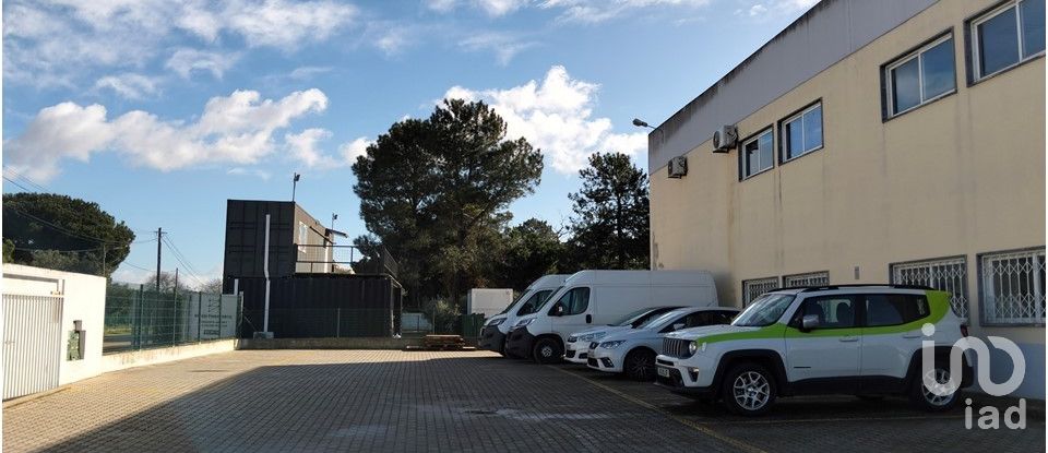 Pavillon T0 à Pinhal Novo de 280 m²